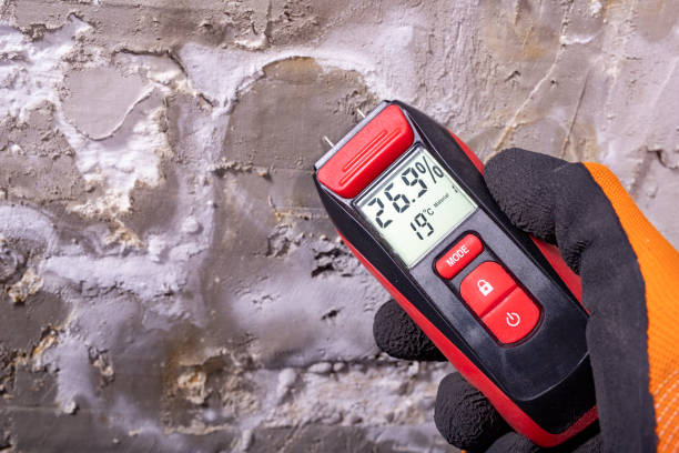 Best Crawl Space Mold Removal  in Waynesboro, TN